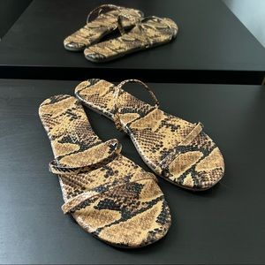 TKEES GEMMA coco snake